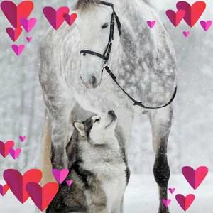 Meet your Posher, Tana